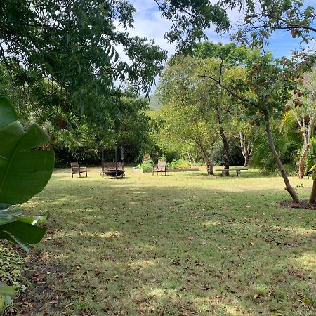 Garden Cottage In Ambiente Guest House Knysna Bagian luar foto
