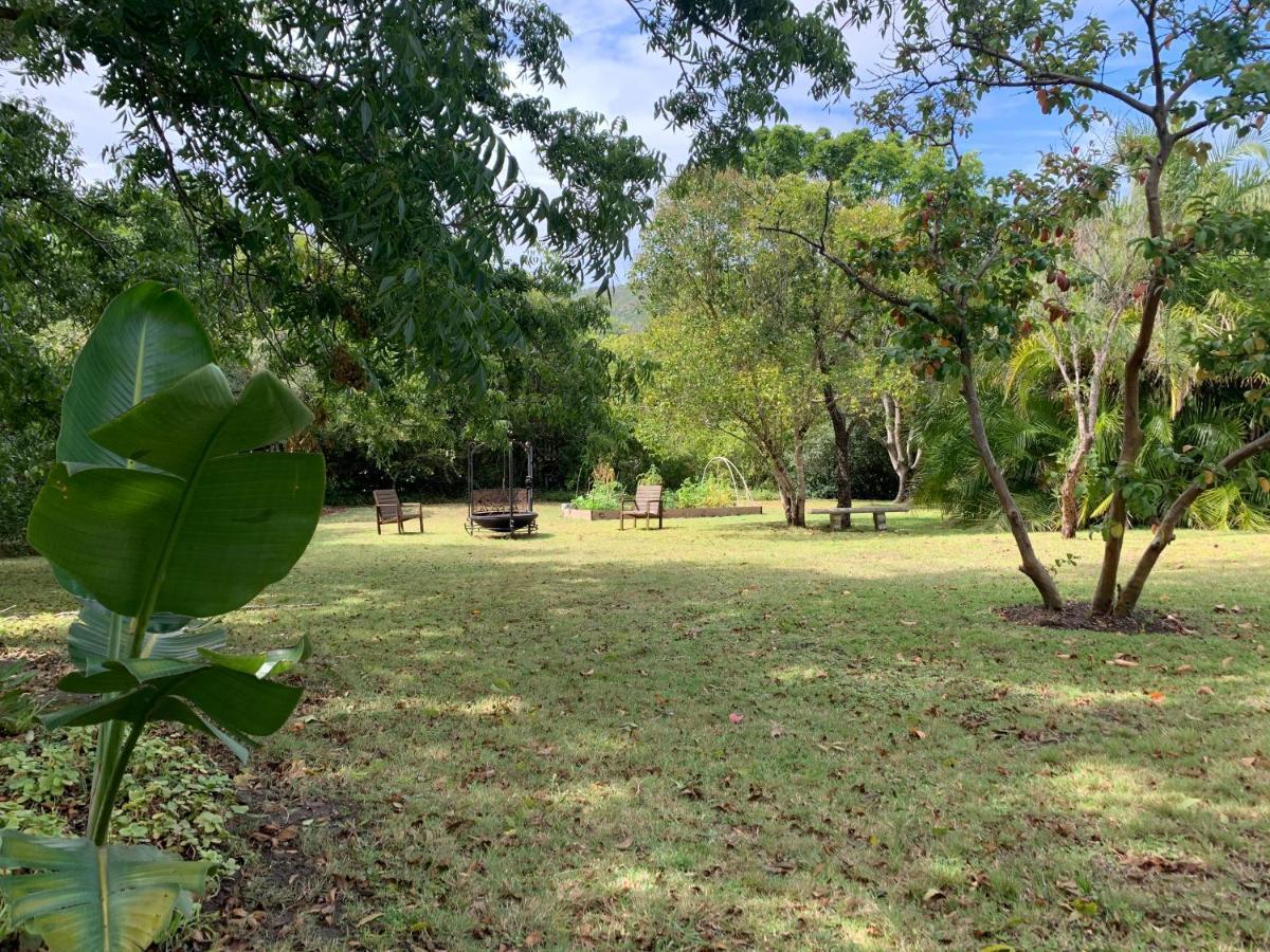 Garden Cottage In Ambiente Guest House Knysna Bagian luar foto