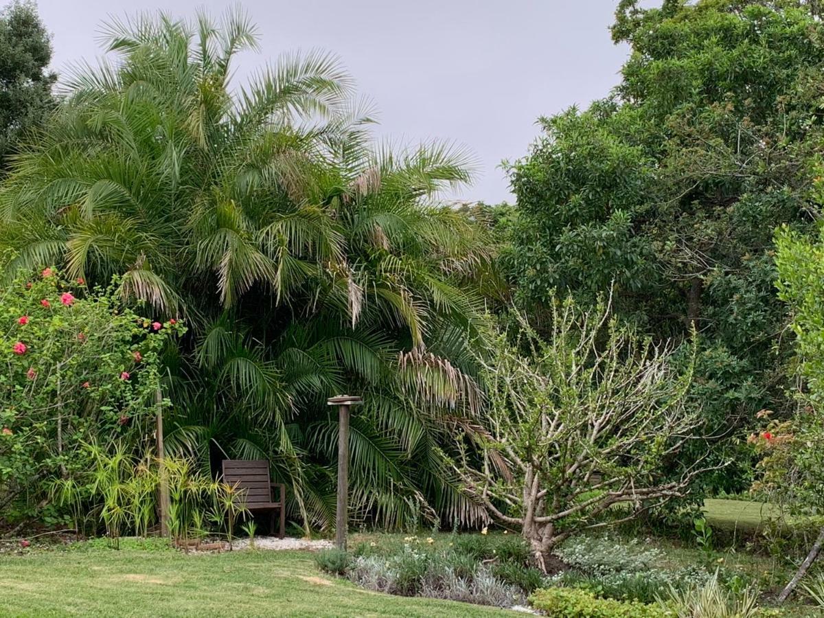 Garden Cottage In Ambiente Guest House Knysna Bagian luar foto