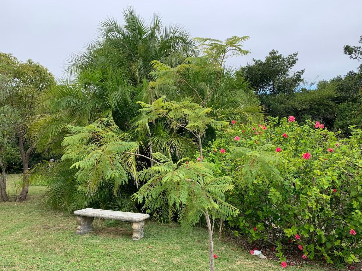 Garden Cottage In Ambiente Guest House Knysna Bagian luar foto